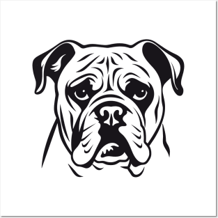 English Bulldog Dog Pet Animal World Furry Friend Vector Graphic Posters and Art